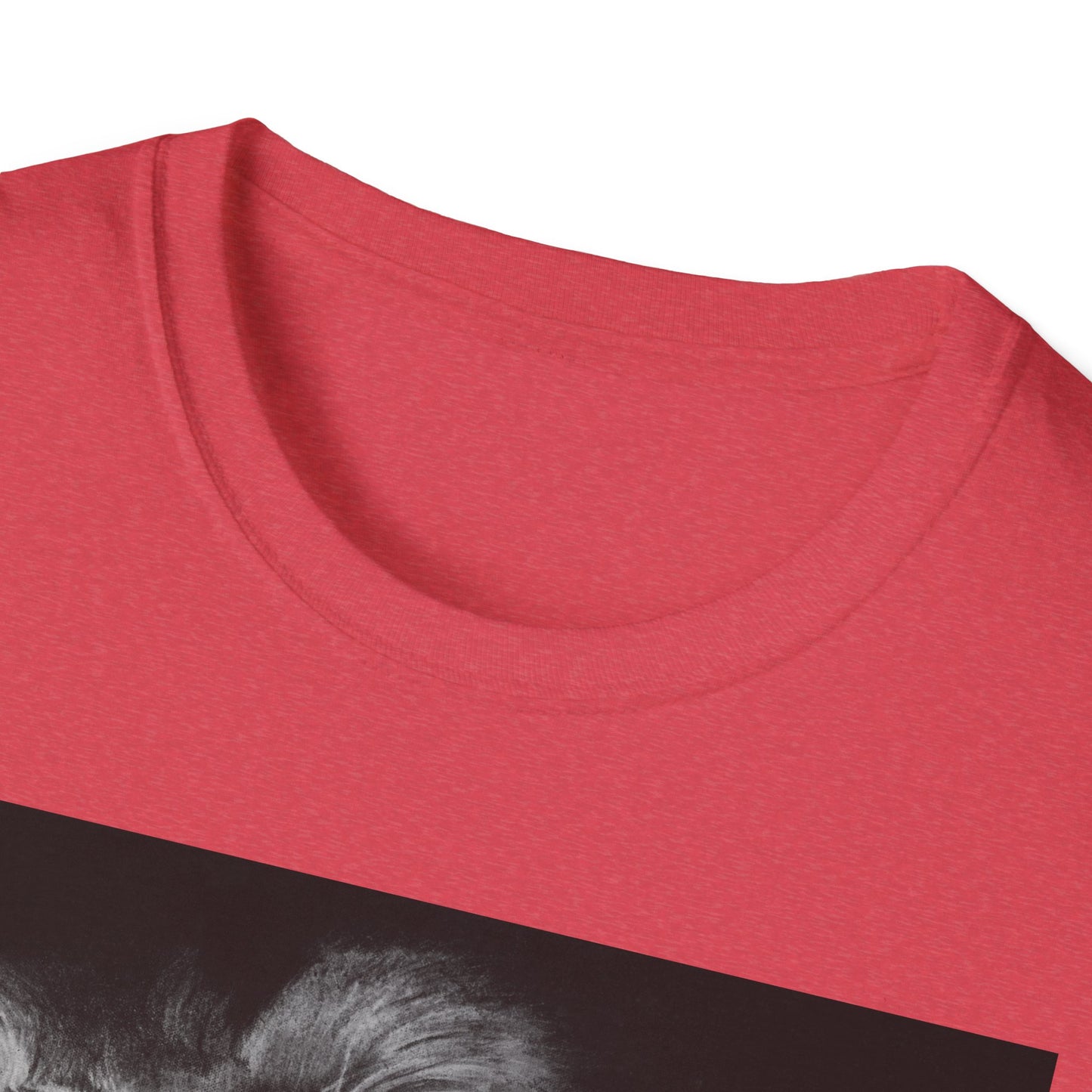Renown, Lion Graphic T-Shirt, Unisex Lion Tee