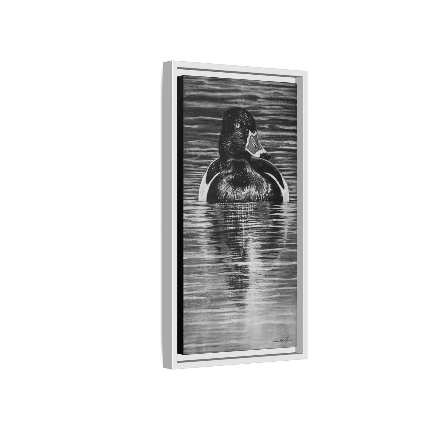 Reflection, Ring necked Duck Painting, Framed Stretched Matte Canvas