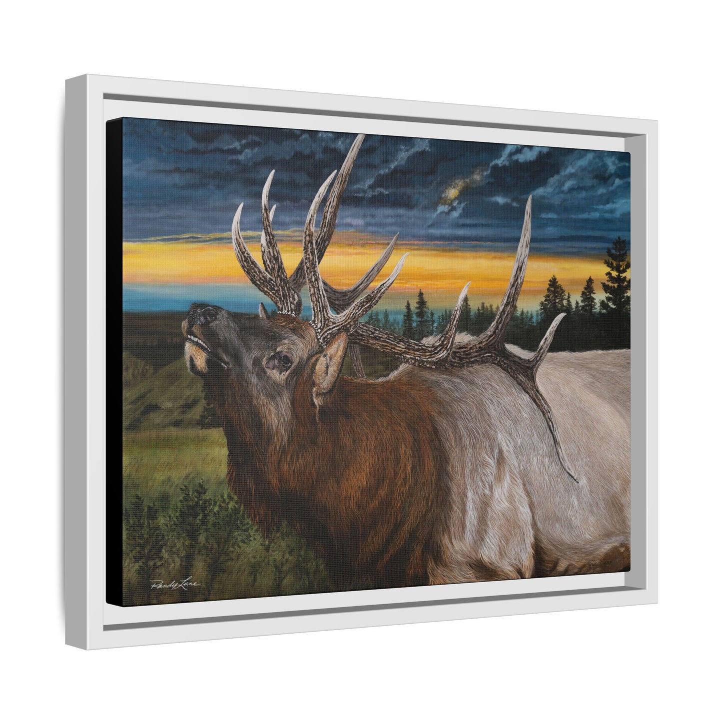Sunset Serenade,  Elk Framed Matte Canvas Print