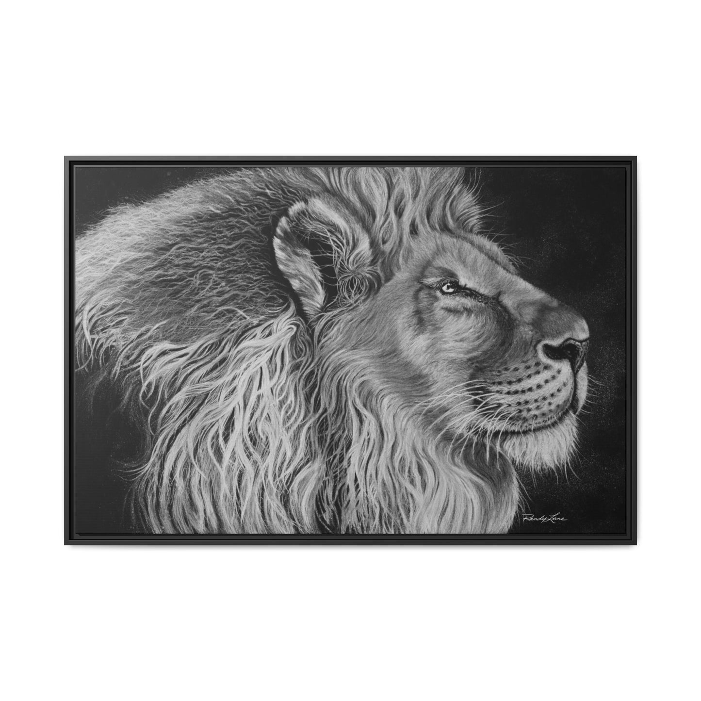 King of Cool, Majestic Lion Framed Canvas Art