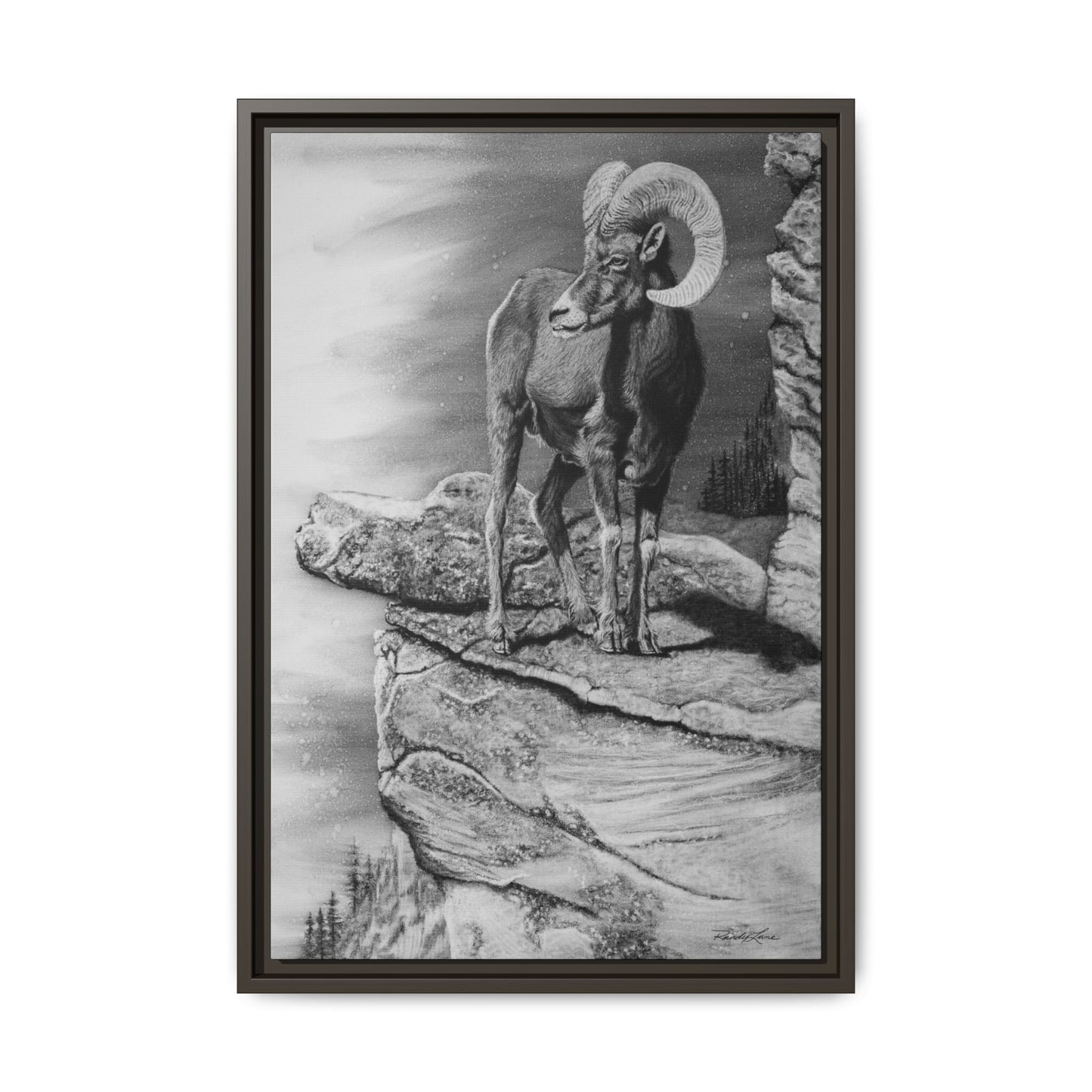 Legendary, Bighorn Sheep Framed Matte Stretched Canvas