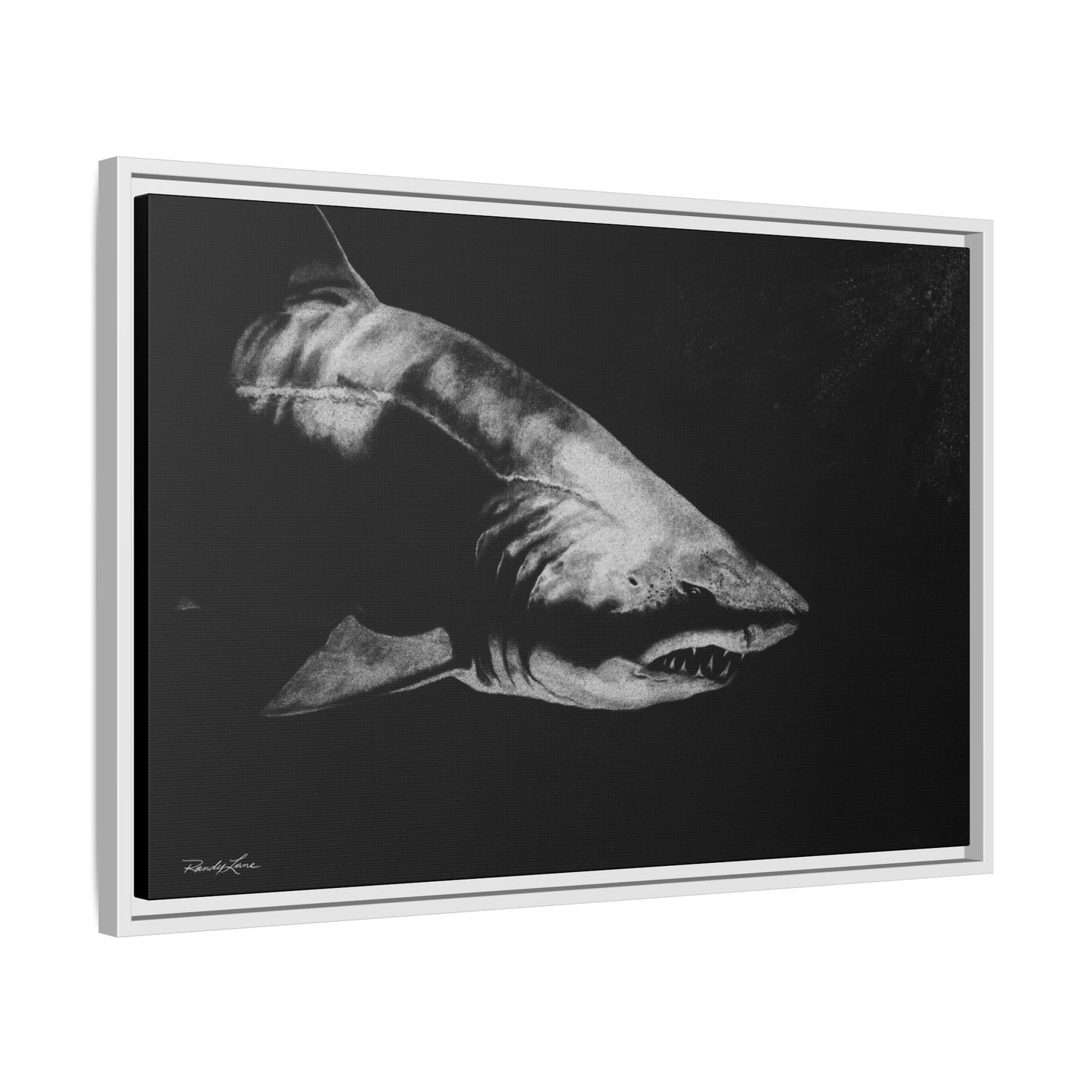 Below, Framed Shark Fine Art Print, Matte Canvas Wall Decor