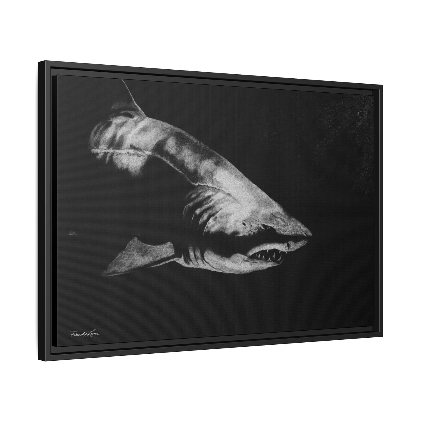 Below, Framed Shark Fine Art Print, Matte Canvas Wall Decor