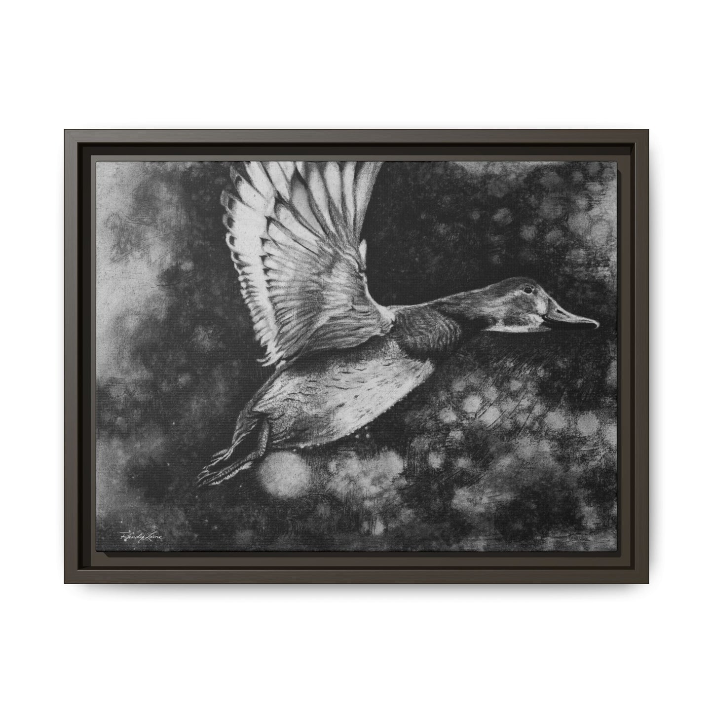 Flare, Framed Duck Canvas Art