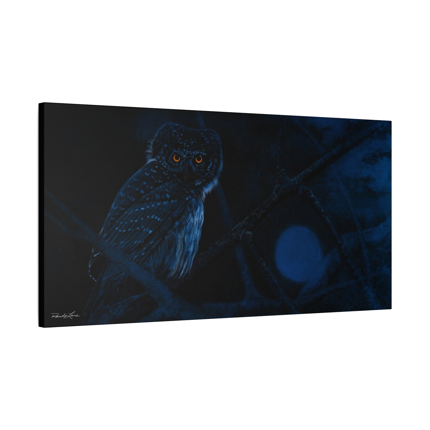 Bright Eyes, Owl Stretched Canvas Print