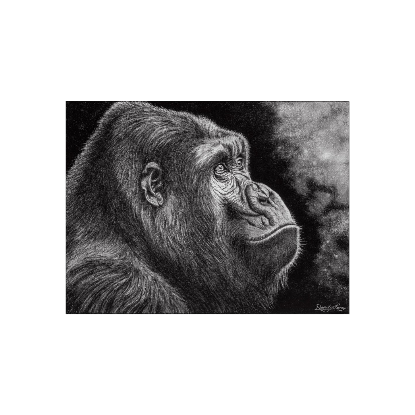 Gorilla, Majestic Gorilla Fine Art Print