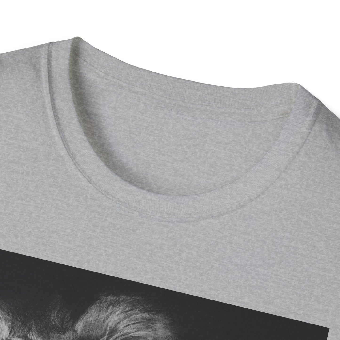 Renown, Lion Graphic T-Shirt, Unisex Lion Tee