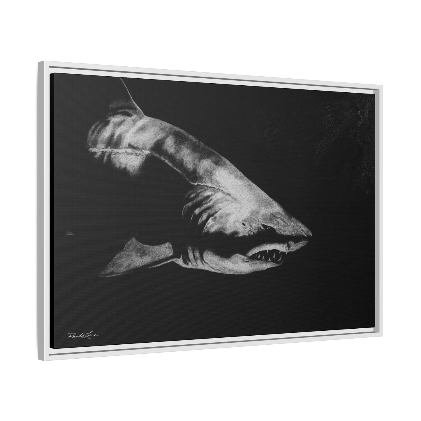 Below, Framed Shark Fine Art Print, Matte Canvas Wall Decor