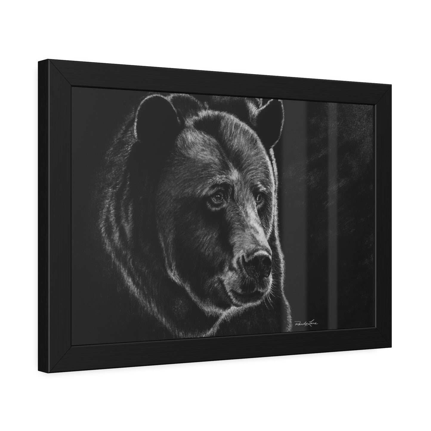 Dominance,  Bear Framed Fine Art Print