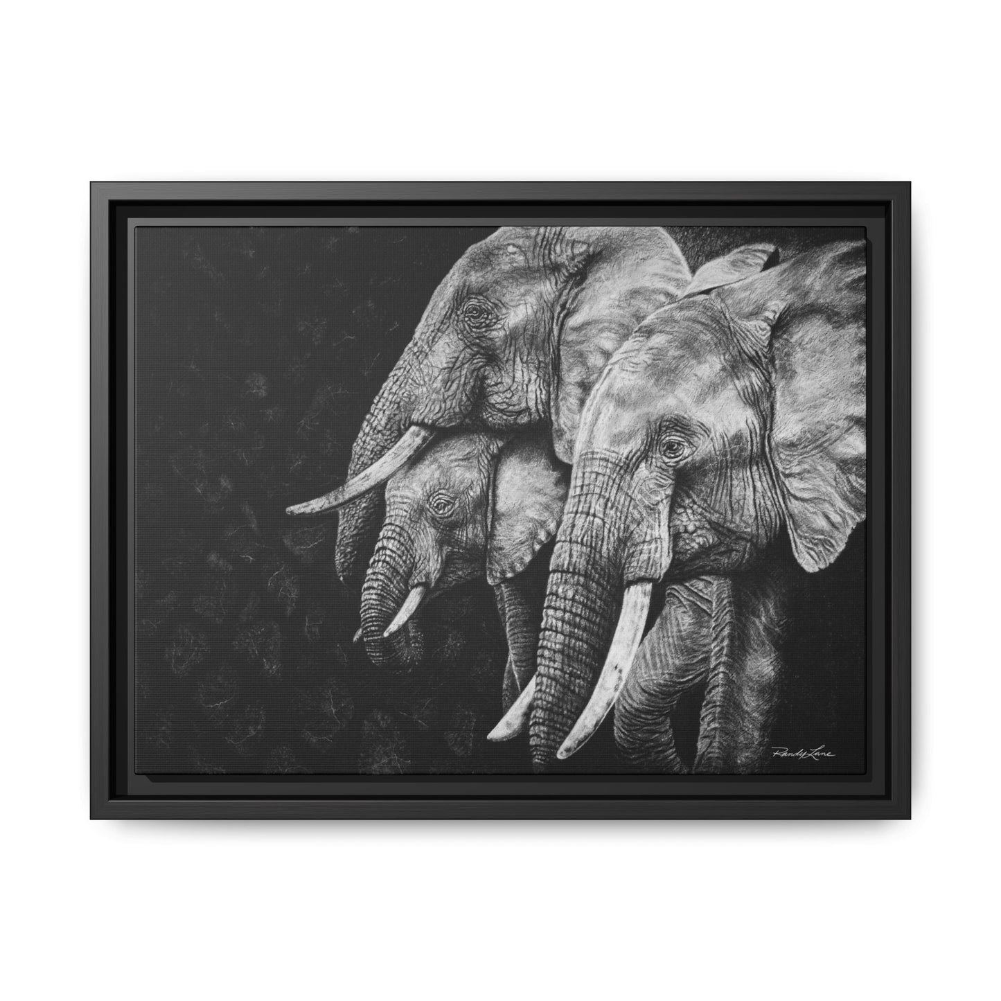 Brushland Bond. Elephant Art Framed Stretched Matte Canvas Print