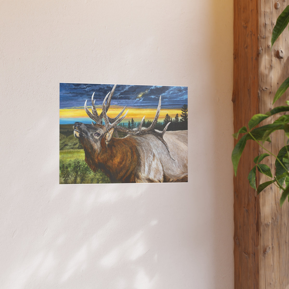 Sunset Serenade, Majestic Bull Elk Fine Art Print —  (Satin/Matte)