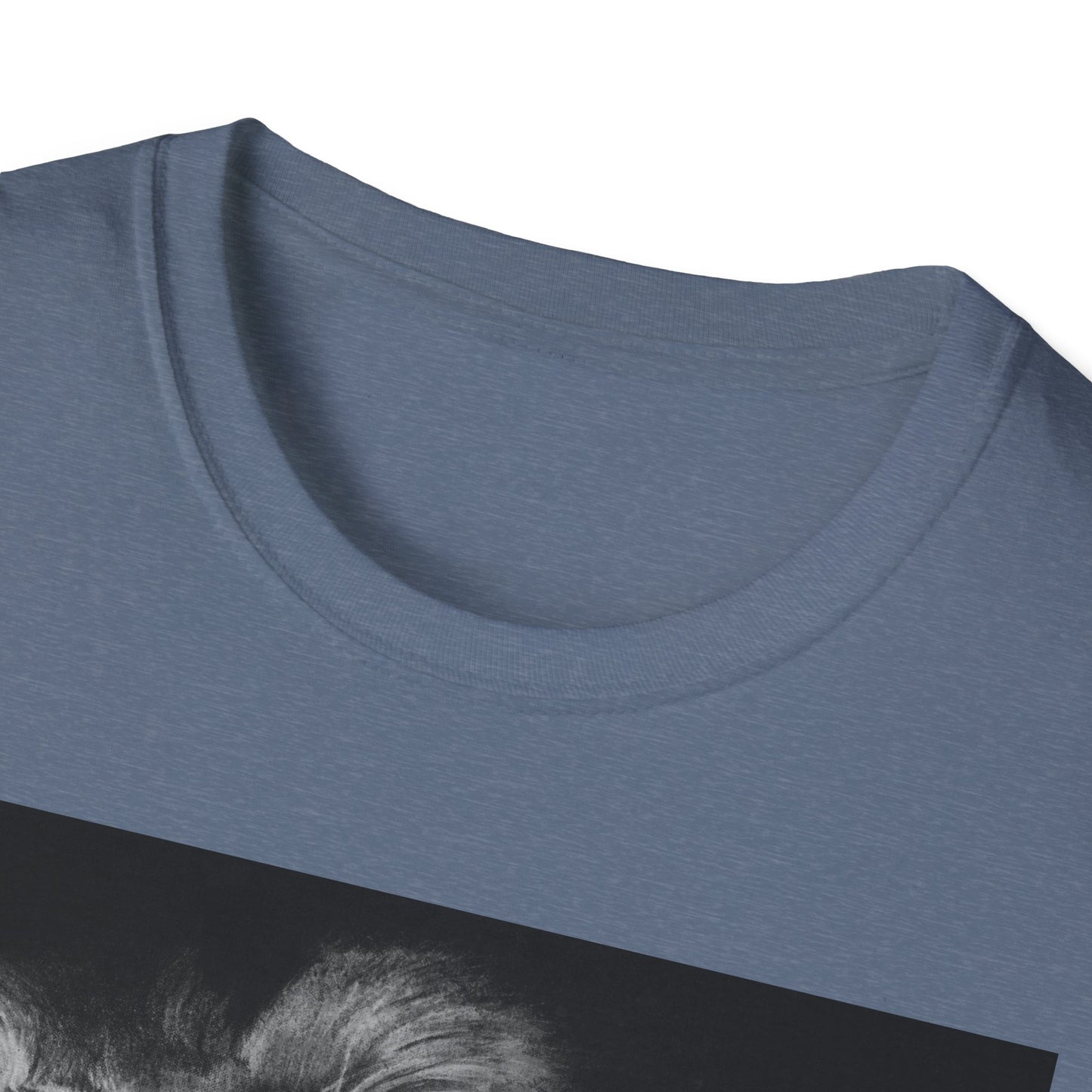 Renown, Lion Graphic T-Shirt, Unisex Lion Tee