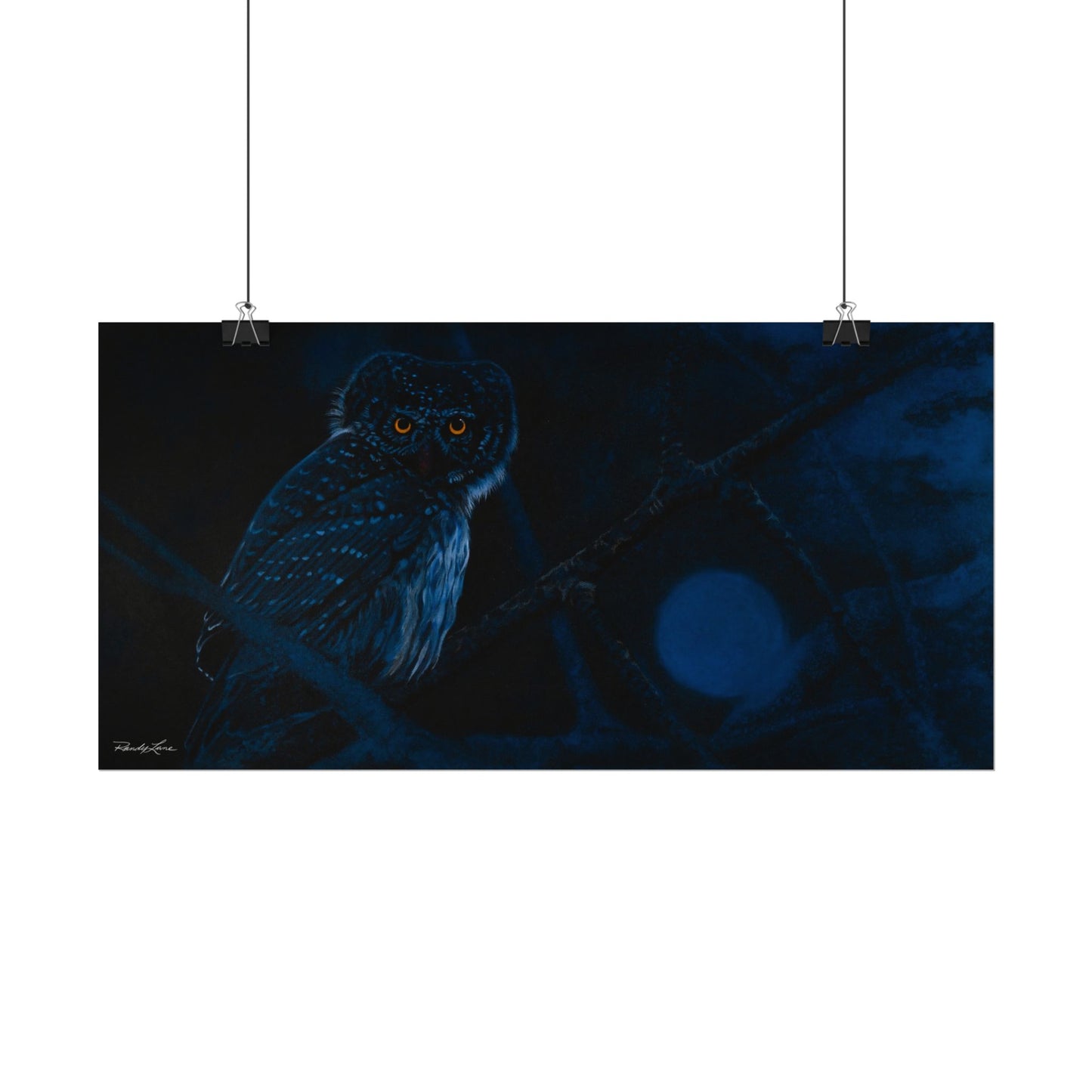 Bright Eyes, Owl Textured Art Print
