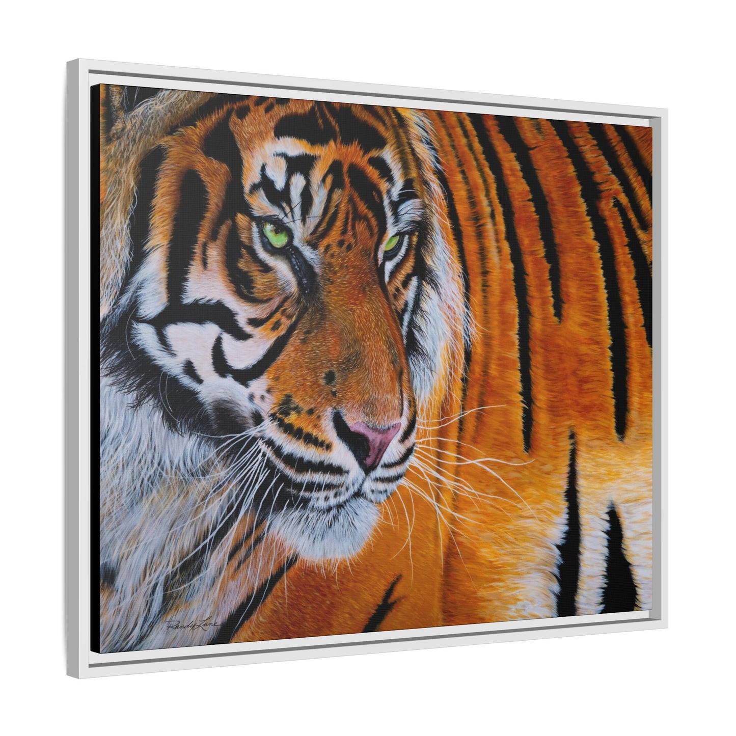 Tiger Stripe, Framed Tiger Canvas Print