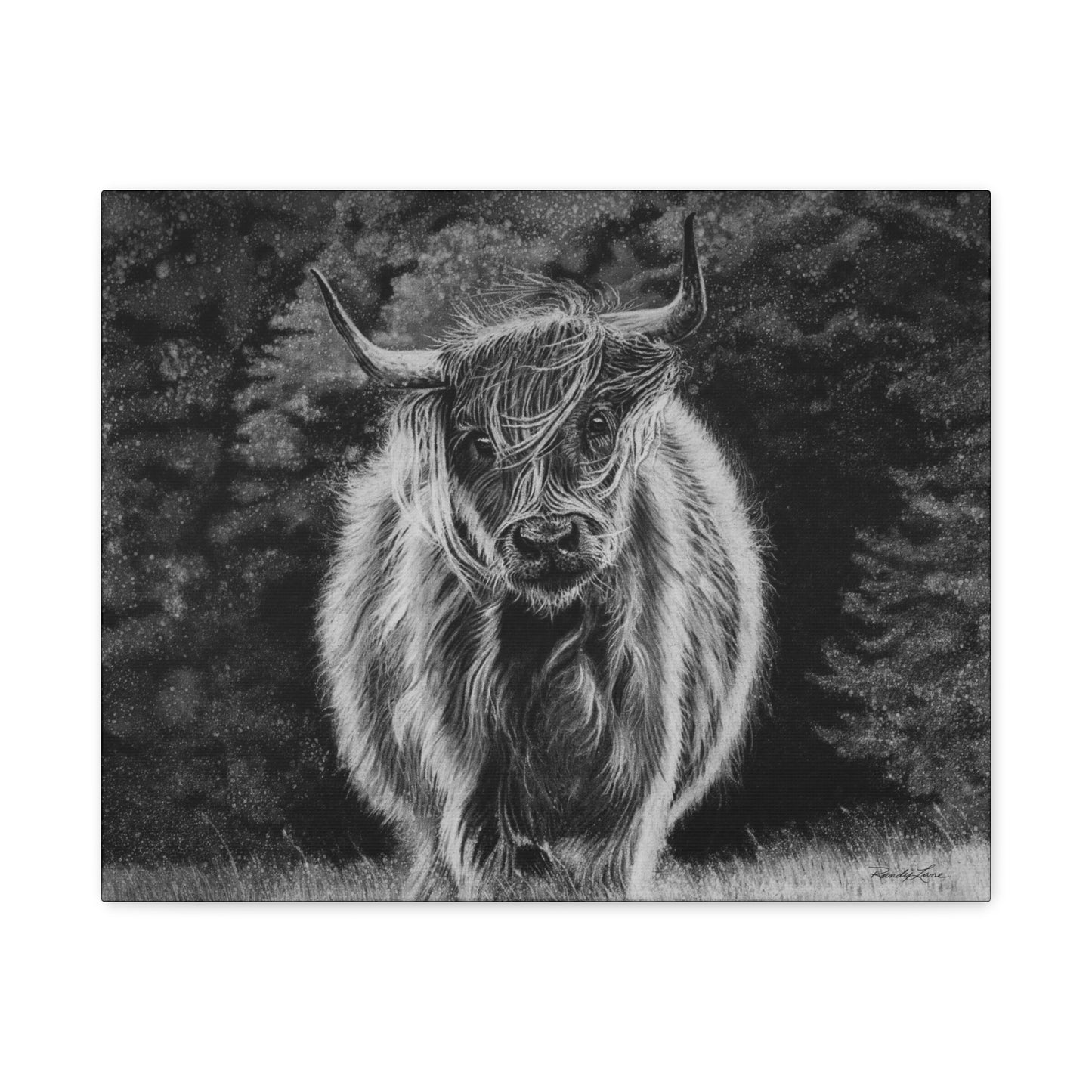 Ragamuffin. Highland Cow Stretched Matte Canvas Wall Art