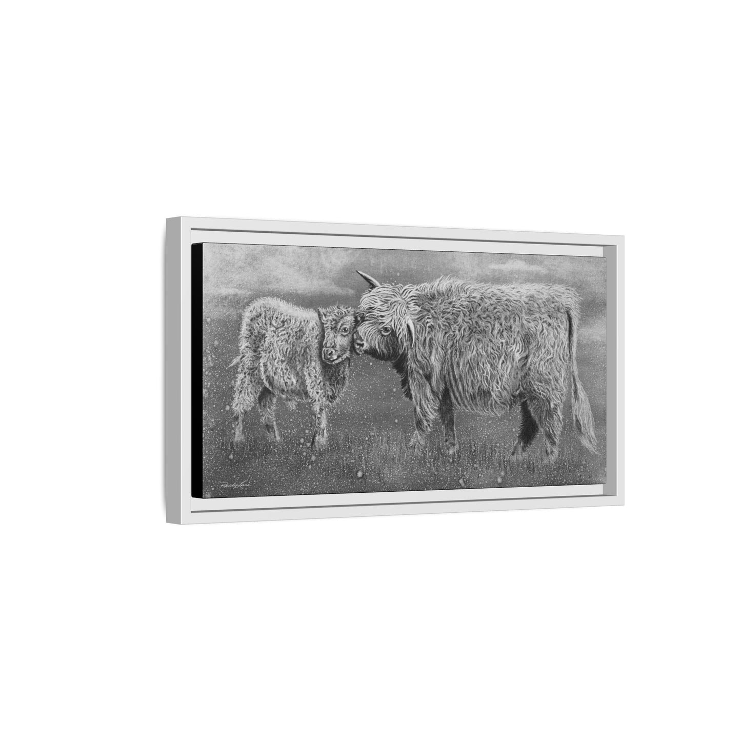 Highland Love, Highland Cattle Framed Canvas Art Print