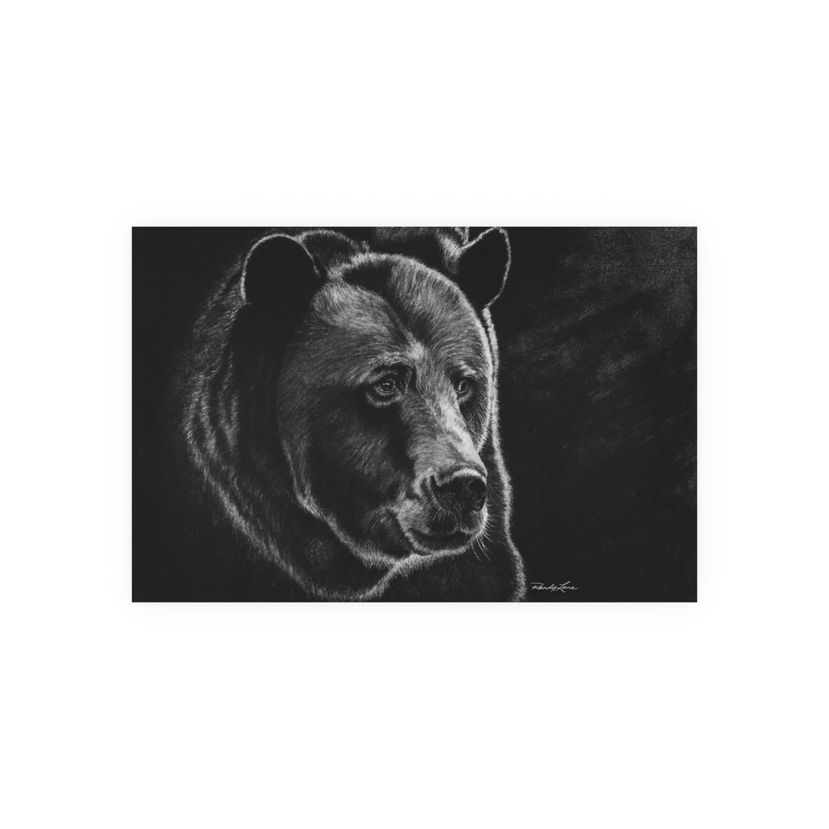Dominance, Bear, Fine Art Print