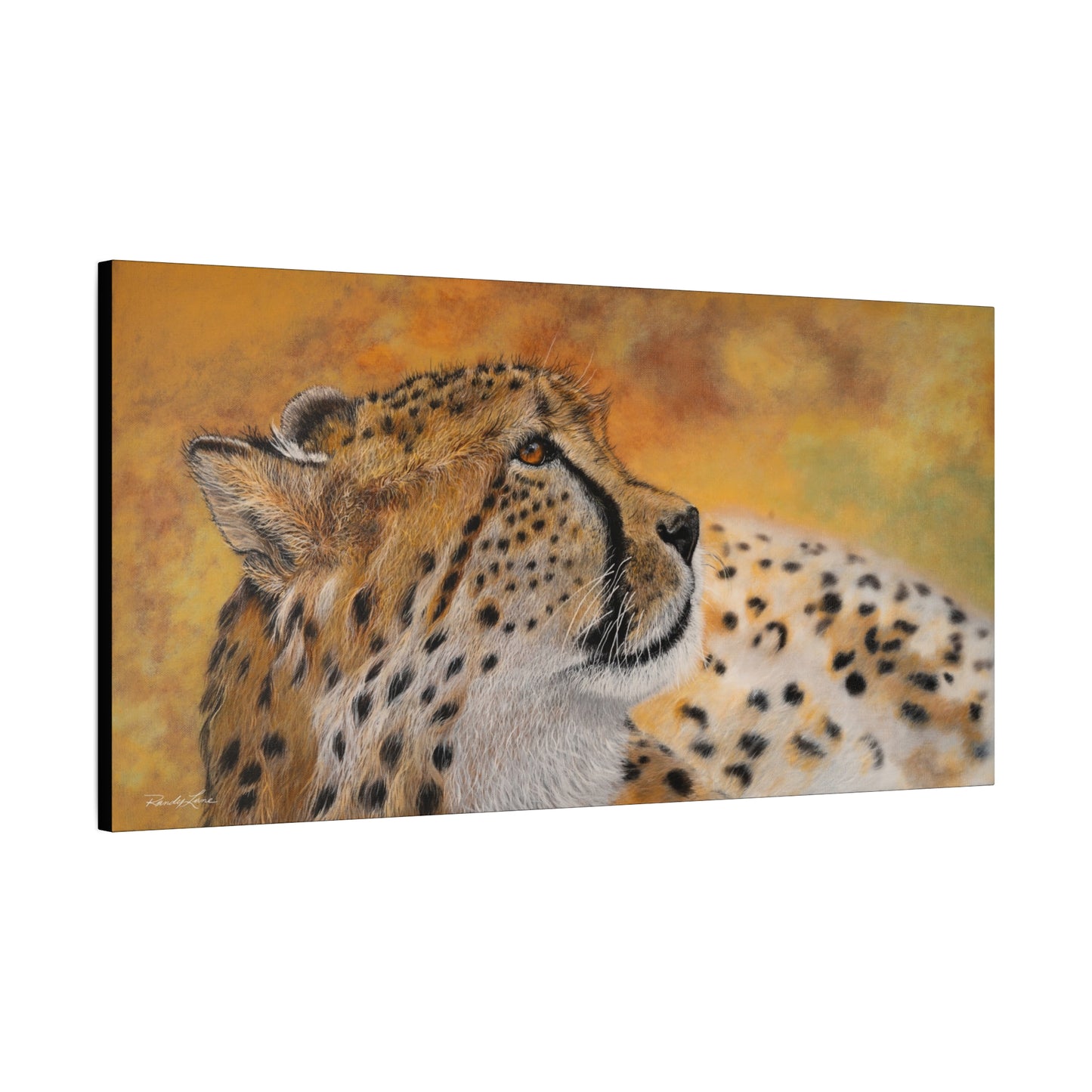 Cheetah Chill,  Canvas Cheetah Wall Art,