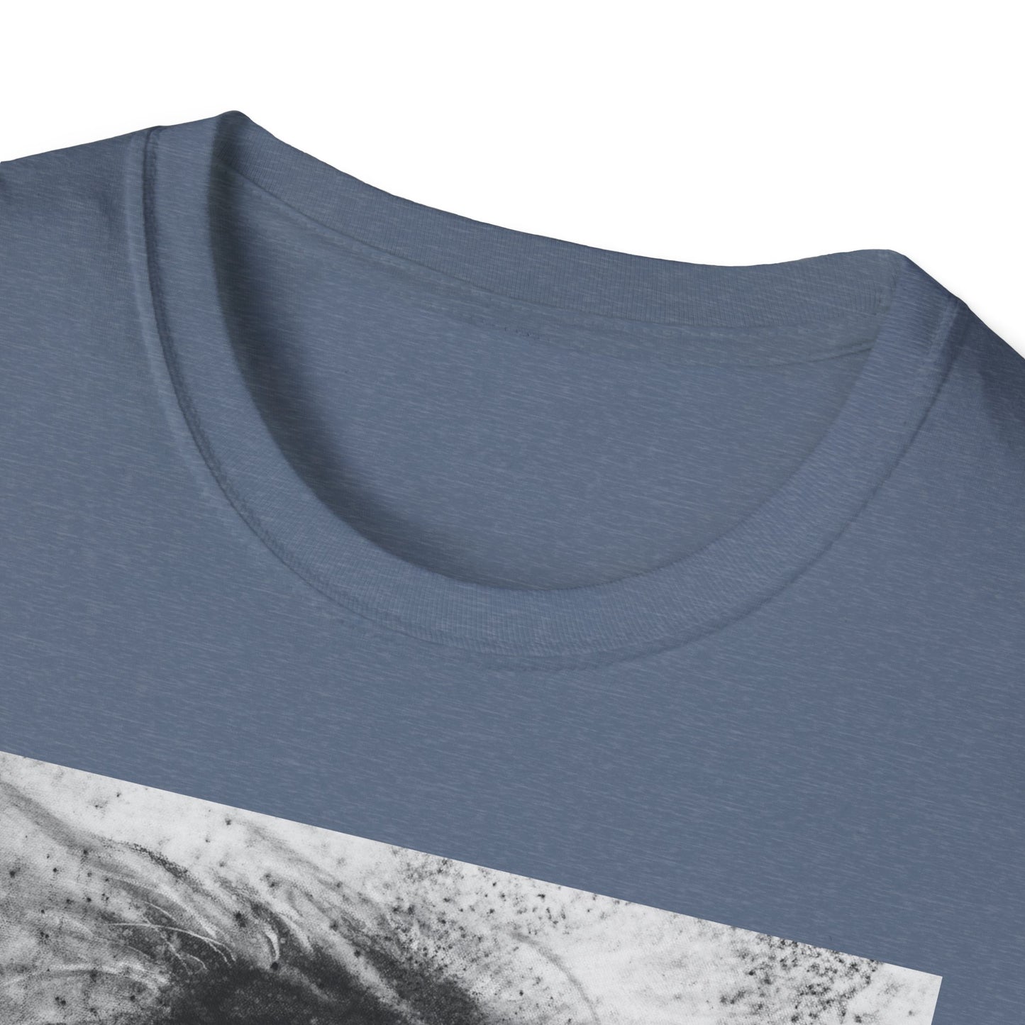 Let the Lion Roar, Lion Graphic Tee, Unisex T-Shirt