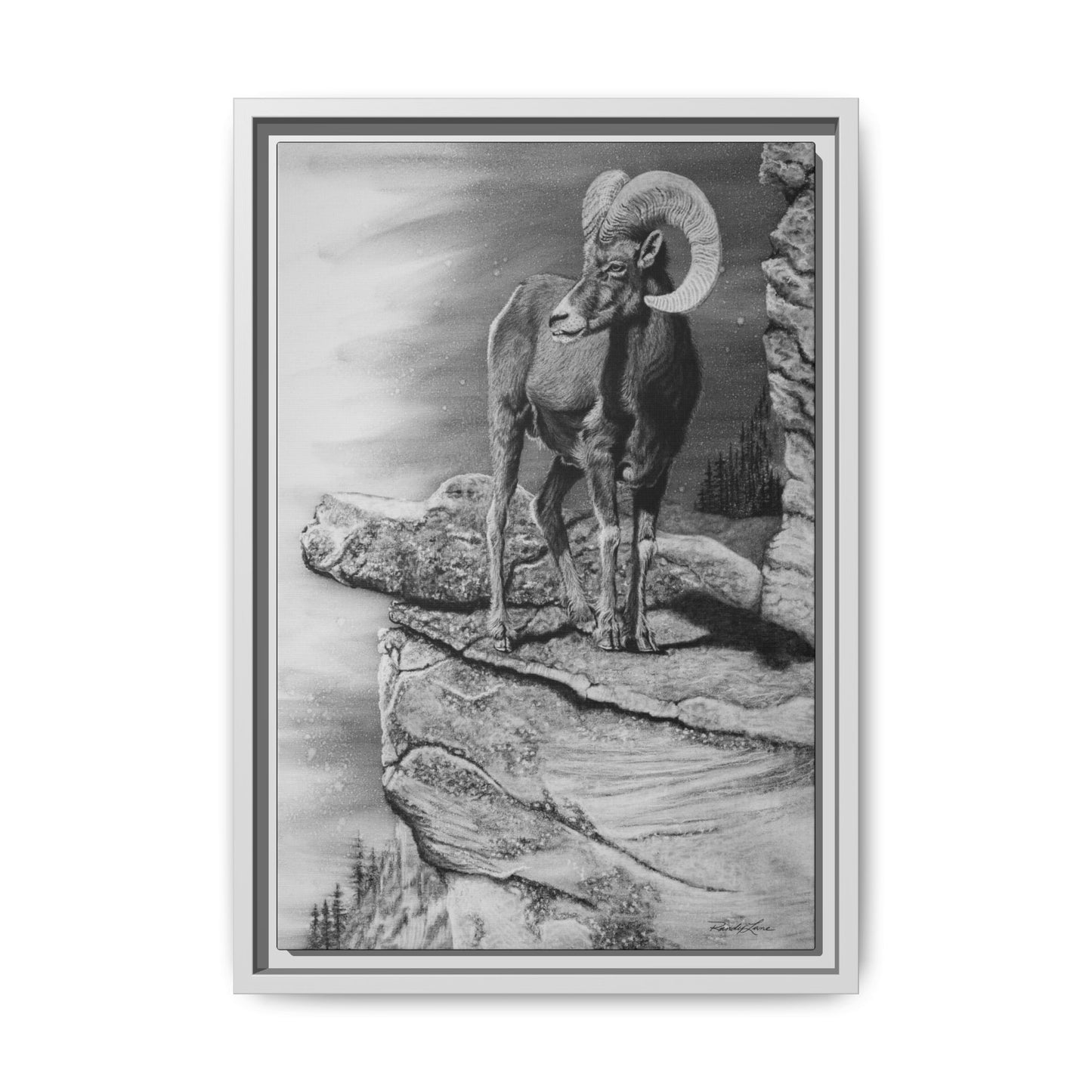 Legendary, Bighorn Sheep Framed Matte Stretched Canvas