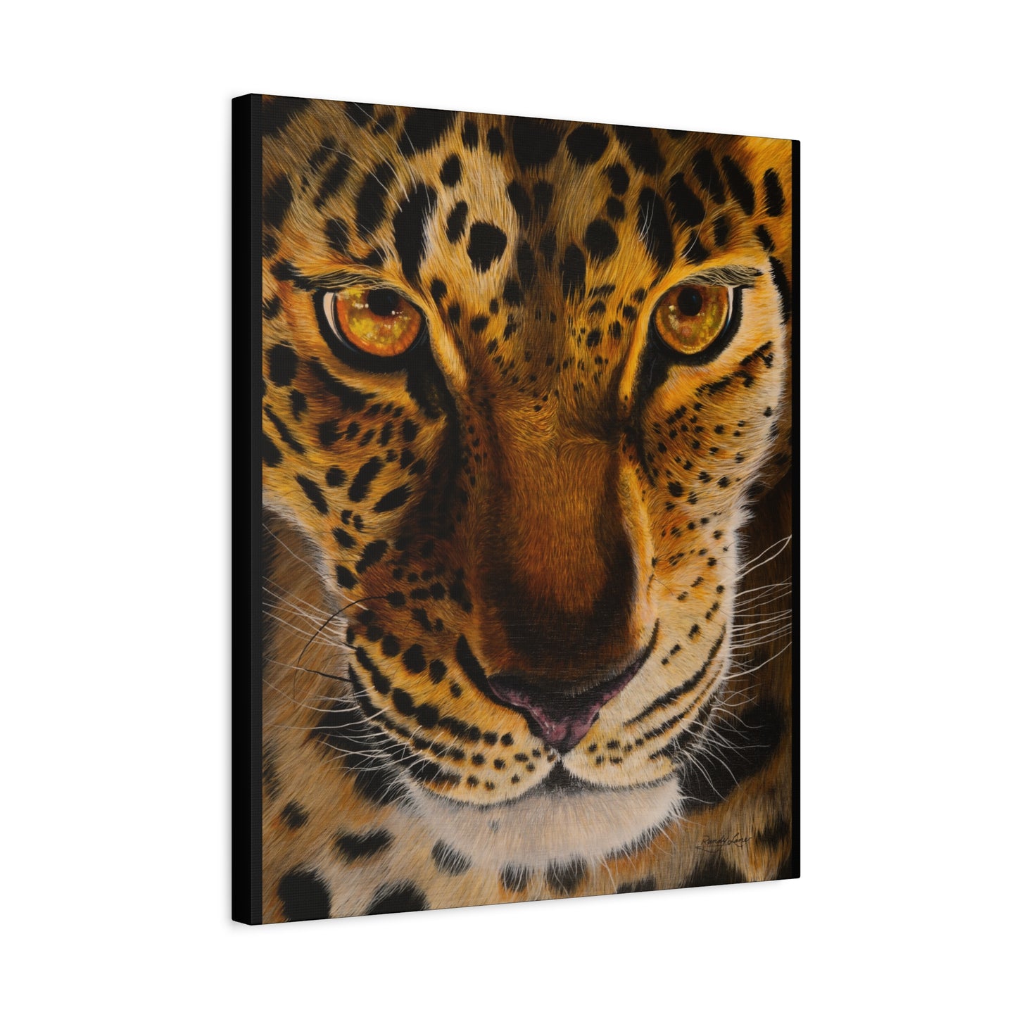 Windows to the Soul, Leopard Stretched Canvas Art Print