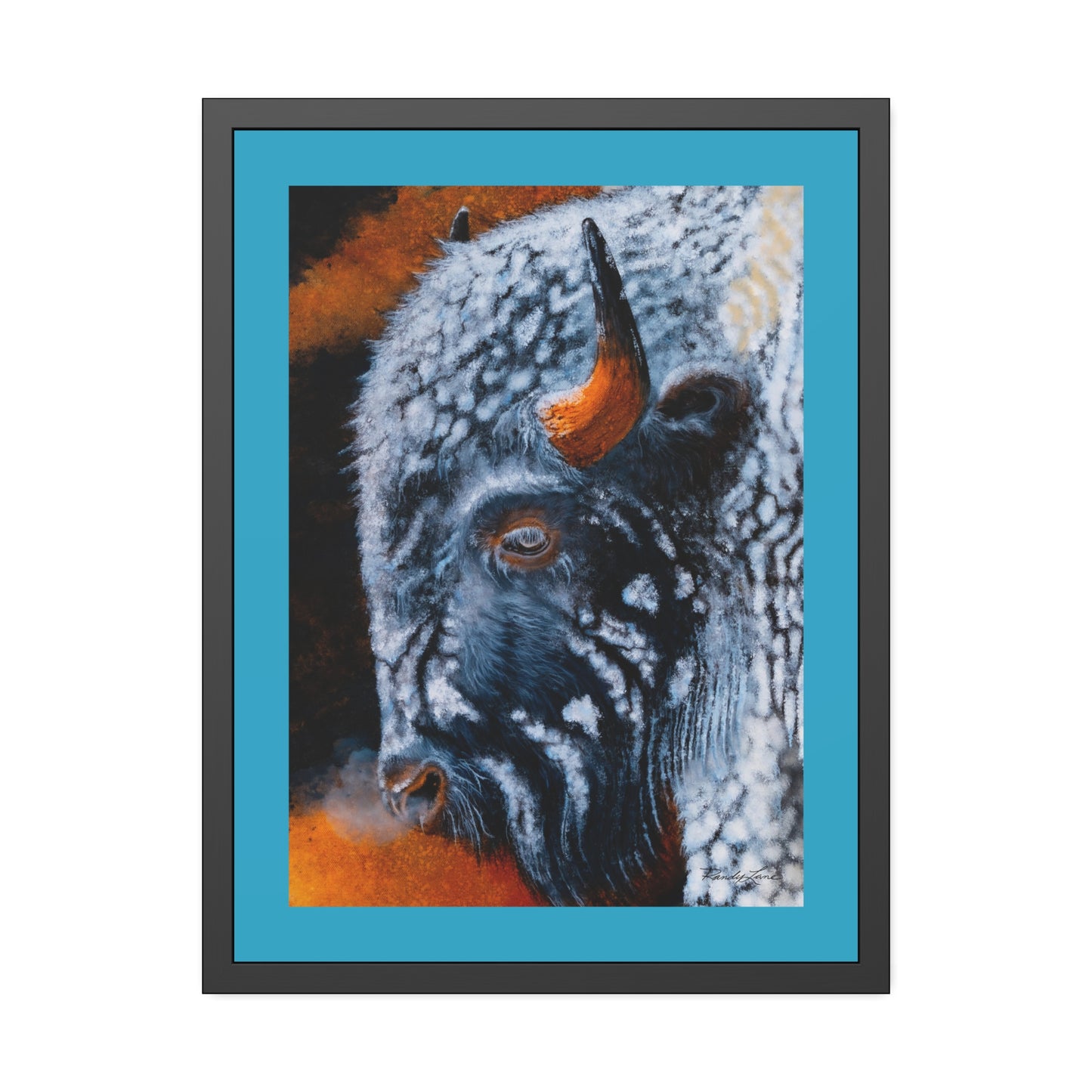Storm Bison, Framed Fine Art Prints