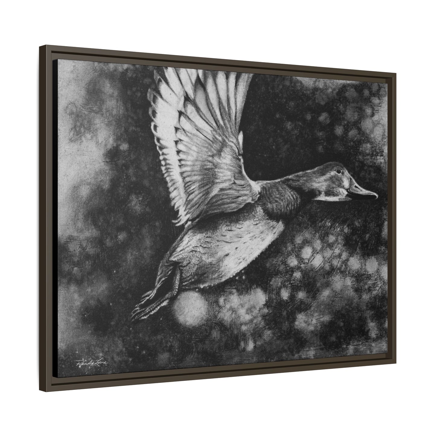 Flare, Framed Duck Canvas Art