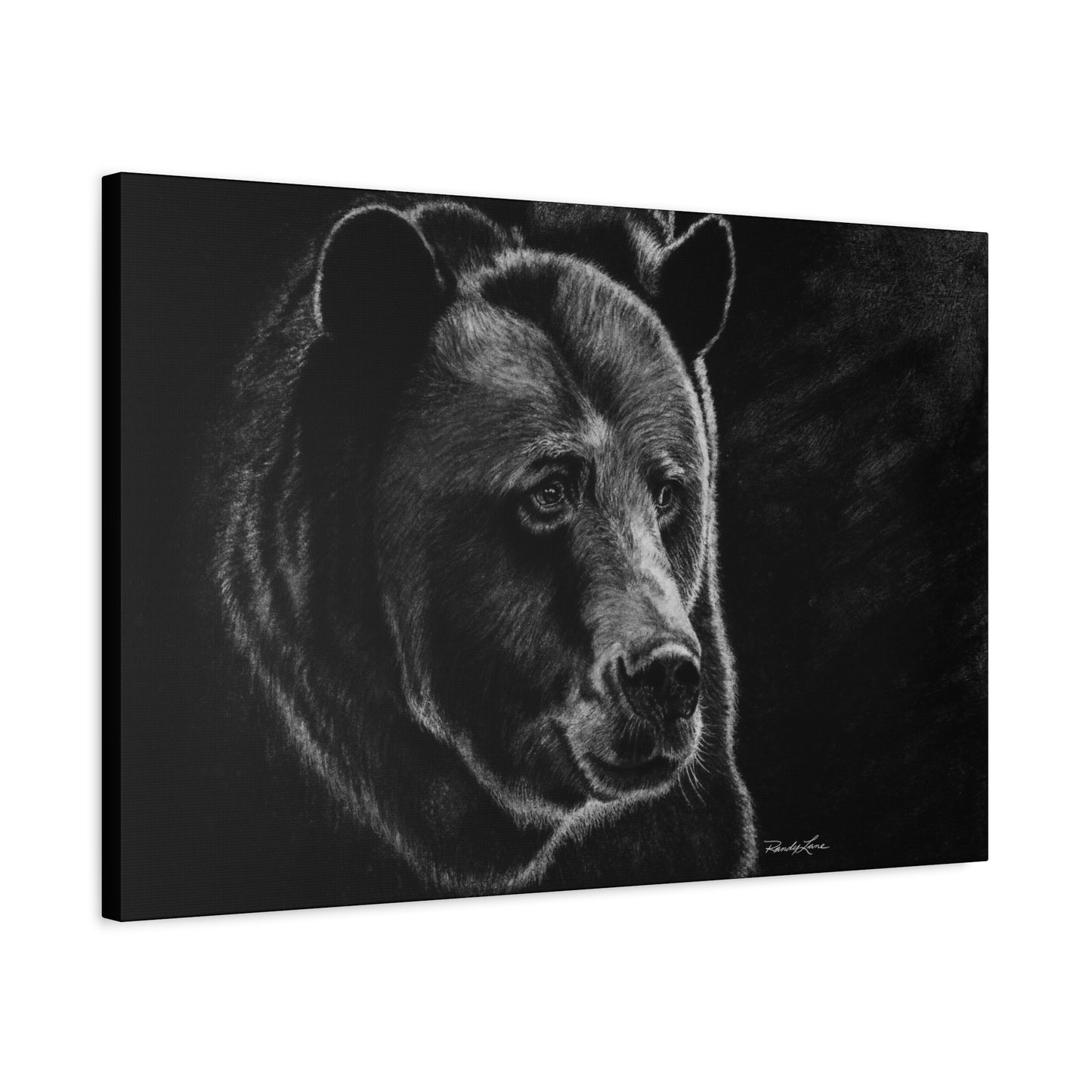 Dominance, Stretched Canvas Bear Print