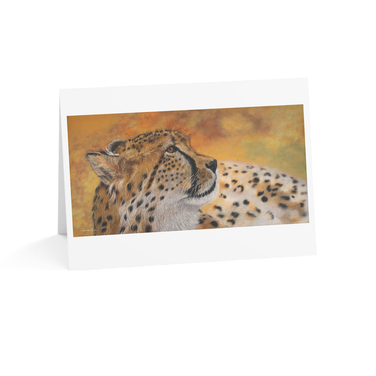 Cheetah Chill, Wildlife Greeting Cards - Set of 1, 10, 30, 50pcs - Perfect for Nature Lovers, Birthdays, Thank You Notes, Art Displays, Wildlife [...]
