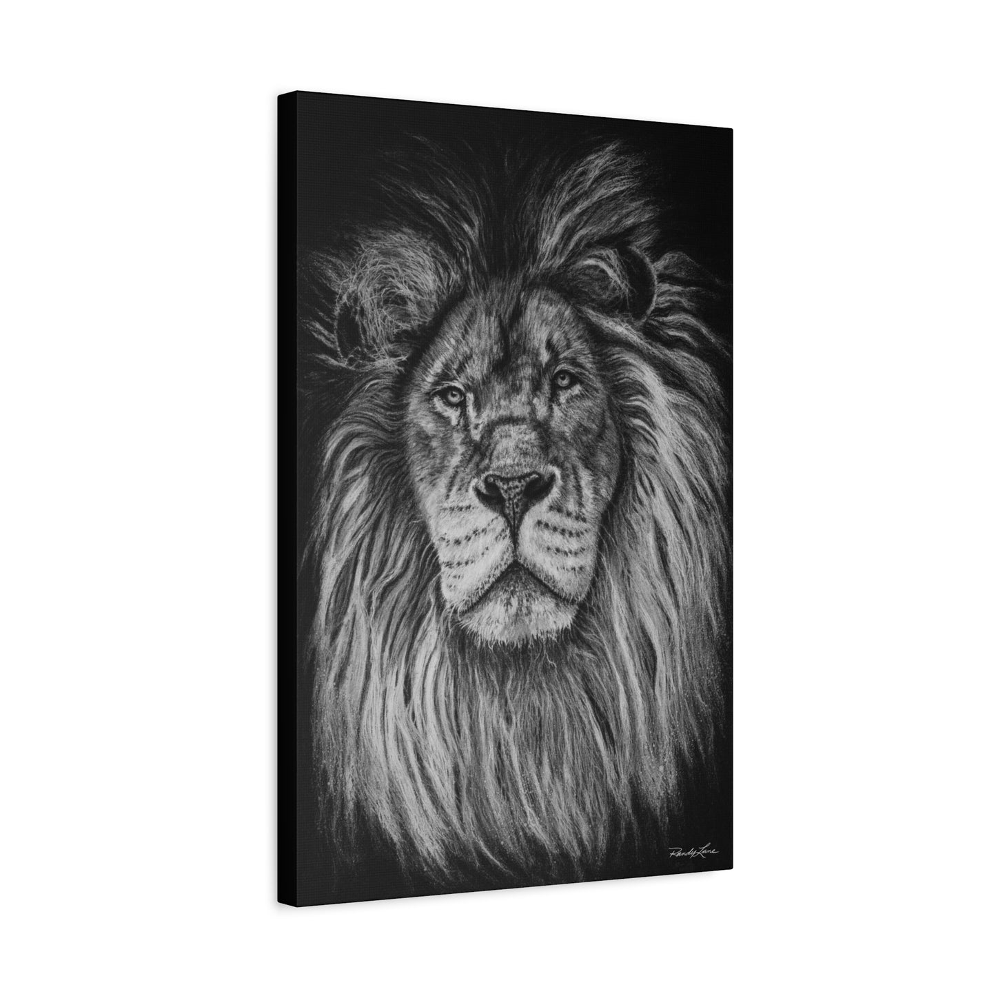The Mane Event, Matte Canvas Lion Print, Stretched, 1.25"
