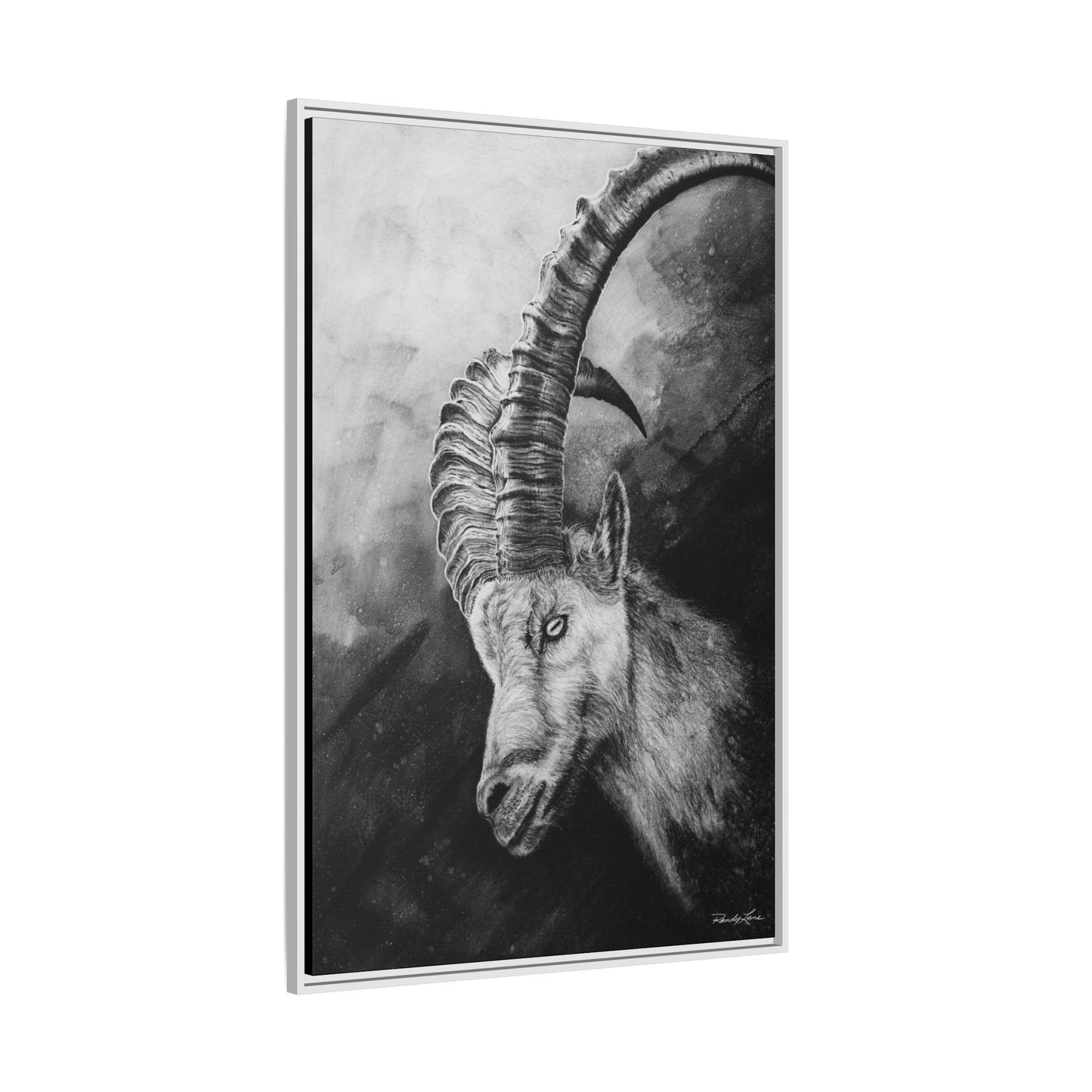 Apex,  Alpine Mountain Goat, Framed Matte Canvas Art Print,