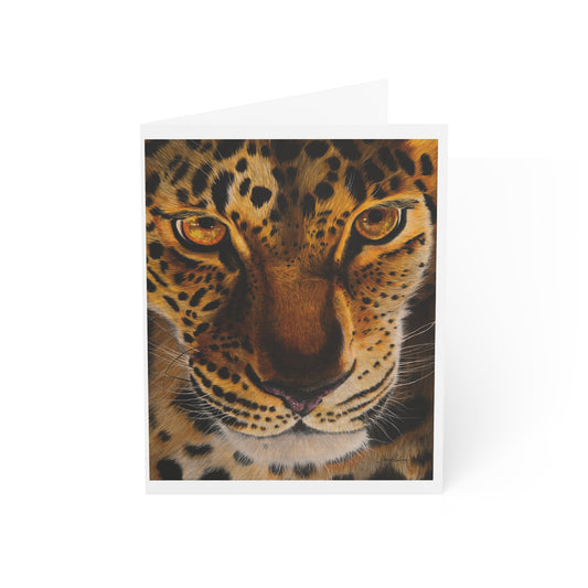 Windows to the Soul, Leopard Greeting Cards Set, Pack of 1, 10, 30, 50pcs