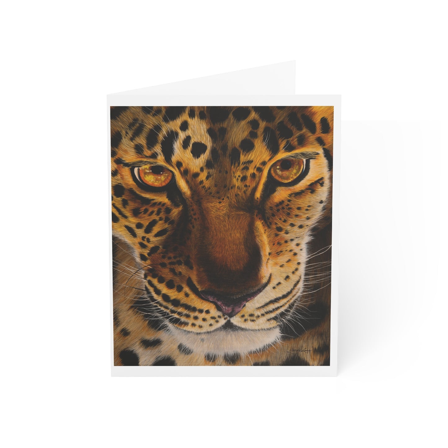 Windows to the Soul, Leopard Greeting Cards Set, Pack of 1, 10, 30, 50pcs