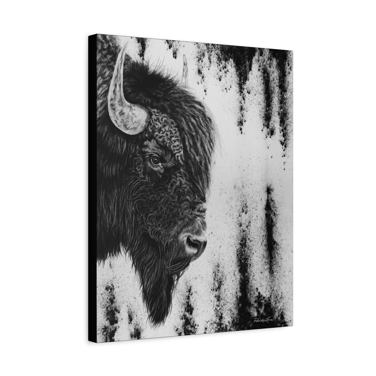 Pride, Bison Stretched Canvas Wall Decor