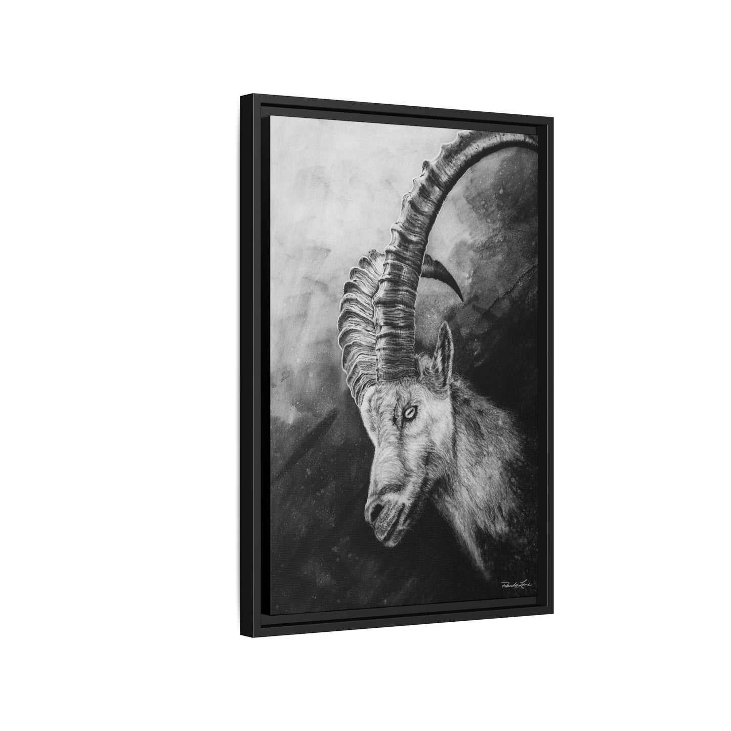 Apex,  Alpine Mountain Goat, Framed Matte Canvas Art Print,