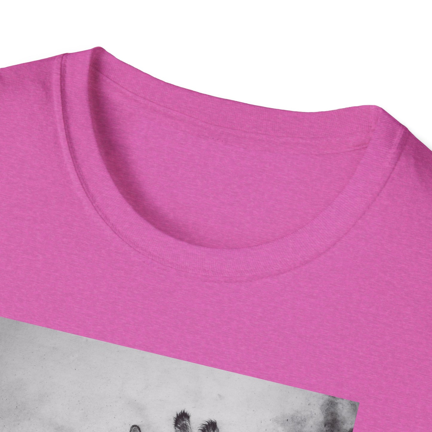 Grace in the Grassland, Giraffe Unisex Softstyle T-Shirt