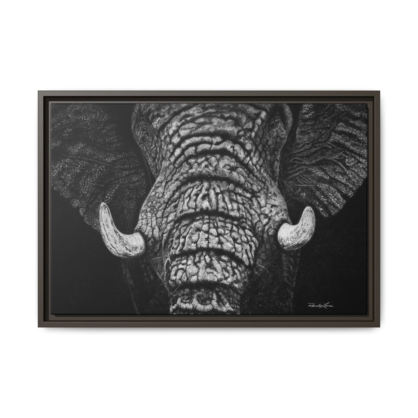 Ebony and Ivory, Elephant Portrait Framed Canvas Wall Art