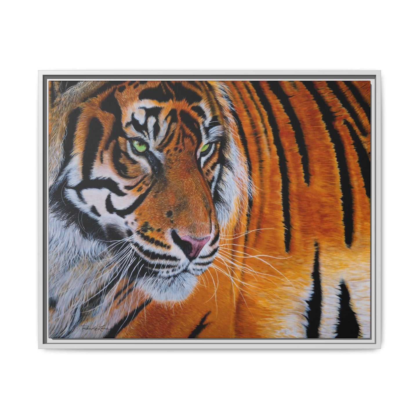 Tiger Stripe, Framed Tiger Canvas Print