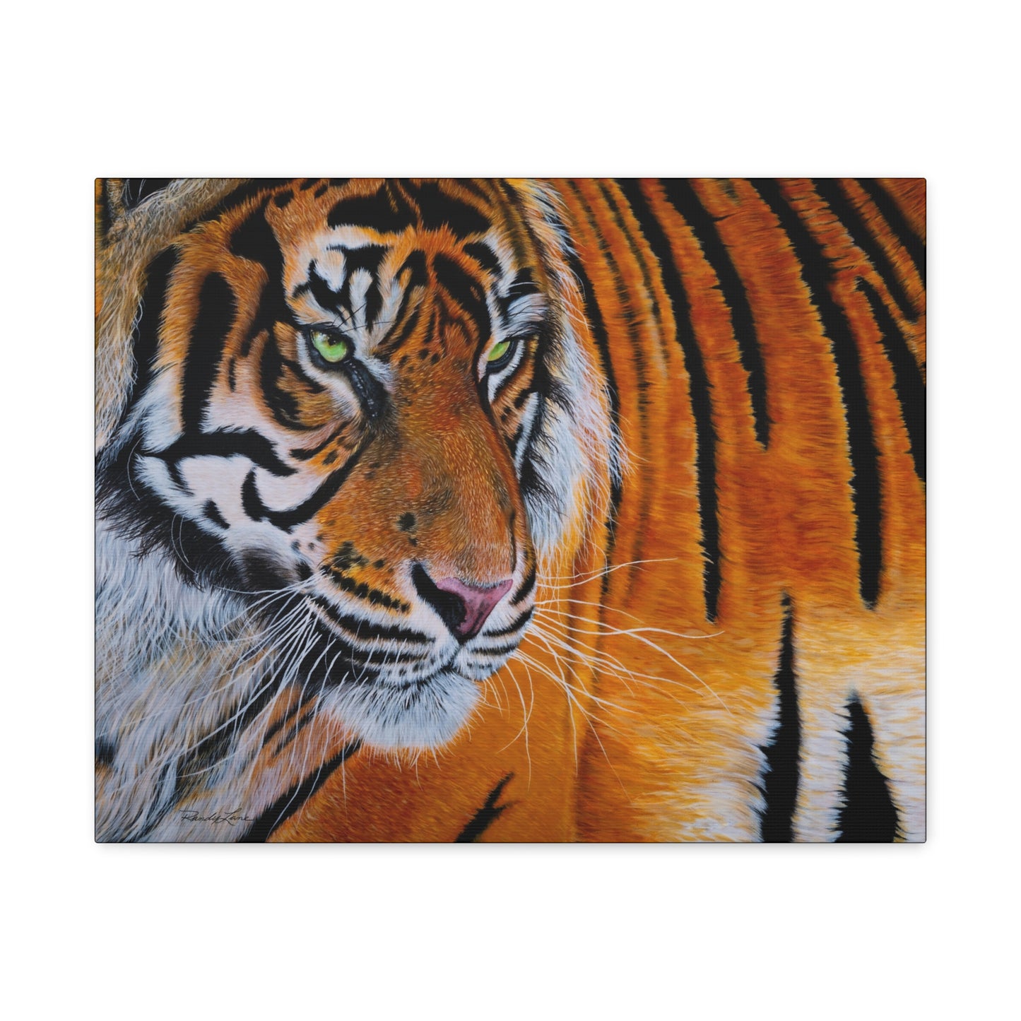 Tiger Stripe, Tiger Canvas Art