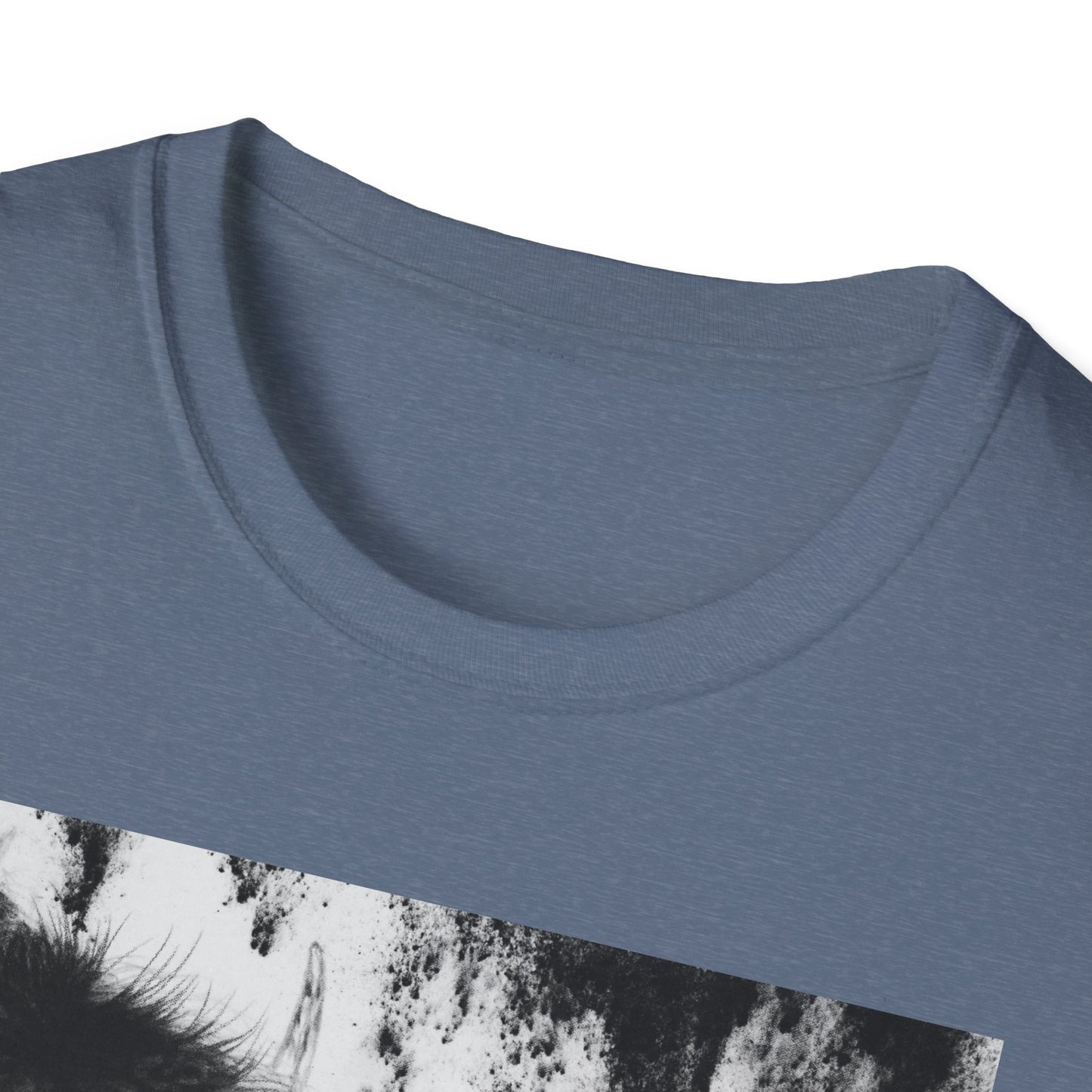 Pride, Bison Graphic Tee, Unisex Softstyle T-Shirt