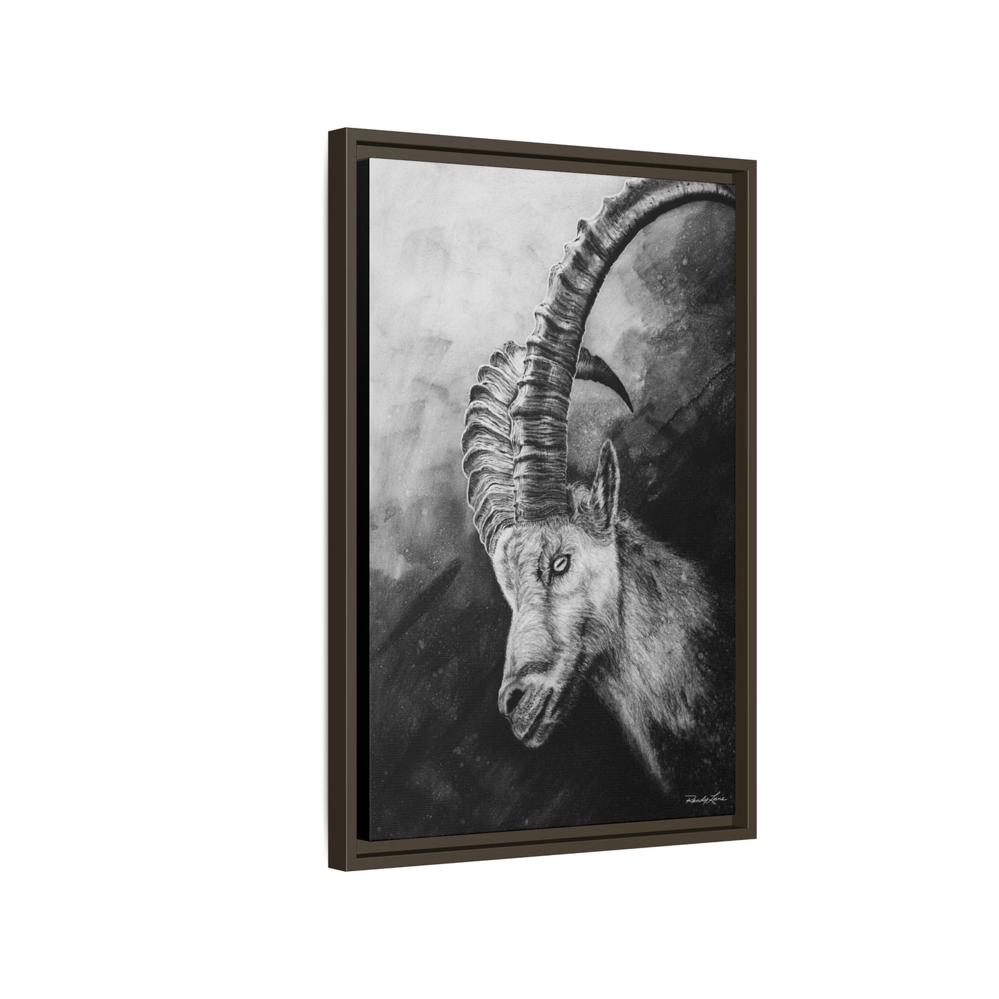 Apex,  Alpine Mountain Goat, Framed Matte Canvas Art Print,