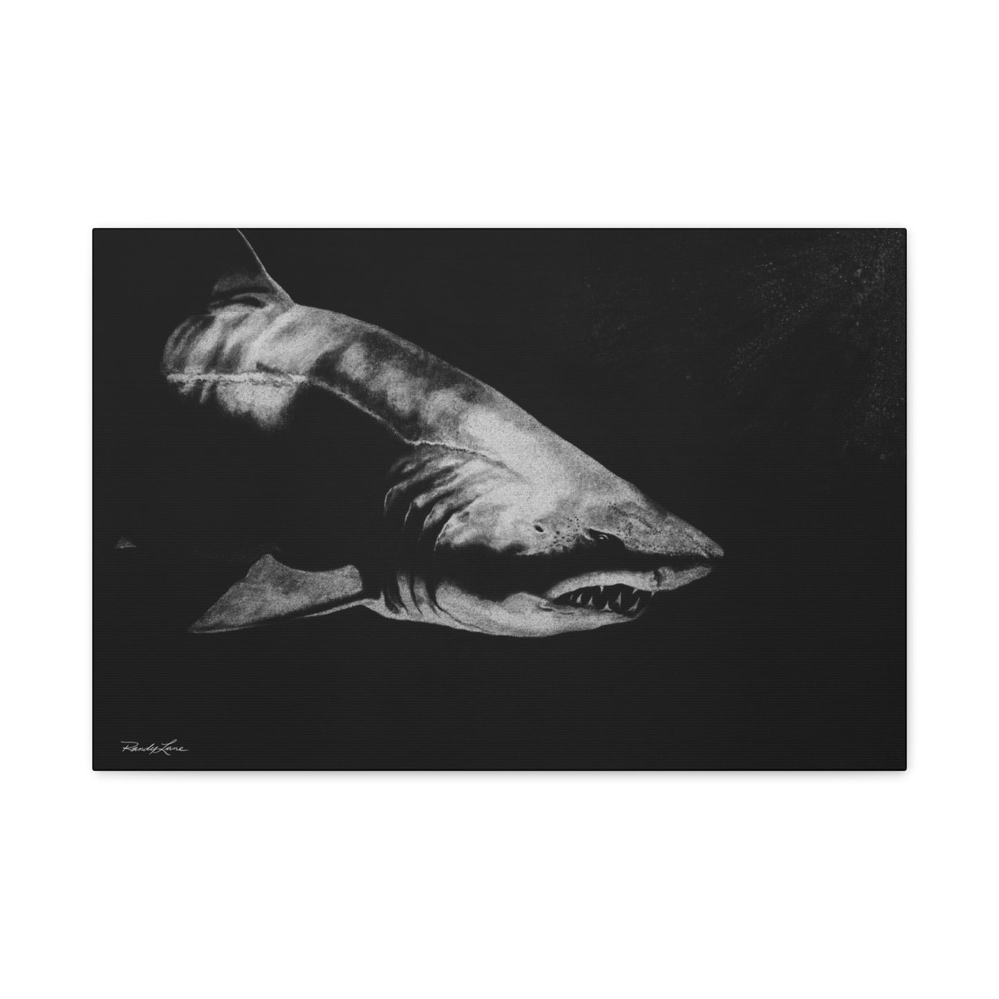 Below, Shark Fine Art Canvas Print