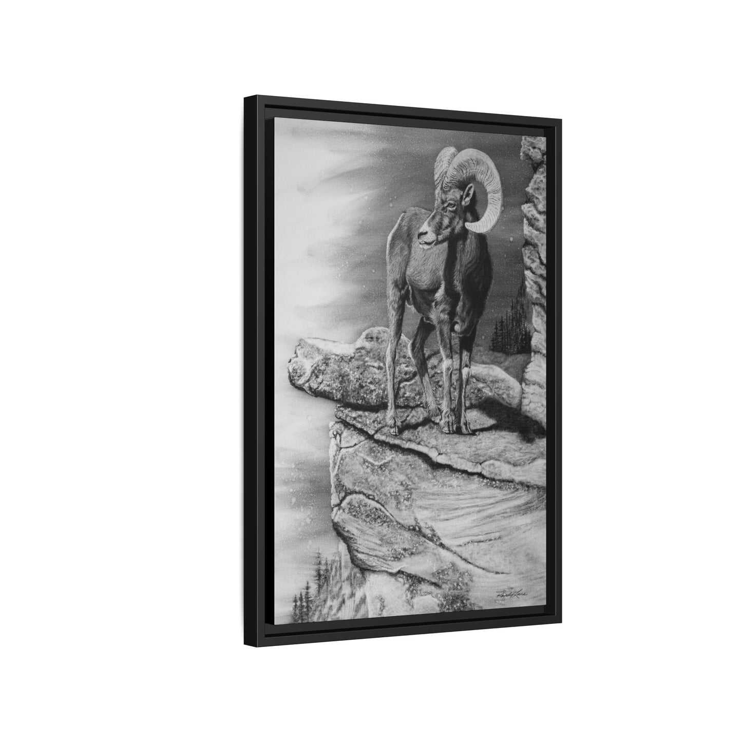 Legendary, Bighorn Sheep Framed Matte Stretched Canvas