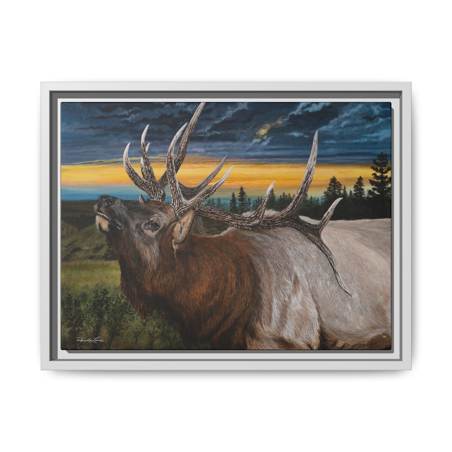 Sunset Serenade,  Elk Framed Matte Canvas Print