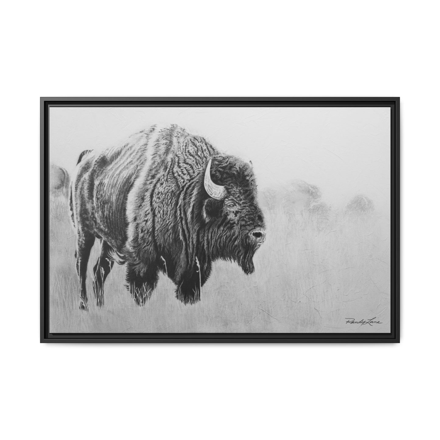 Prairie Bison, Bison Painting Framed Matte Canvas Print — Black & White Wildlife Wall Art
