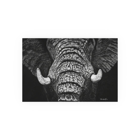 Ebony and Ivory, Elephant Portrait Fine Art Print (Satin/Archival Matte)