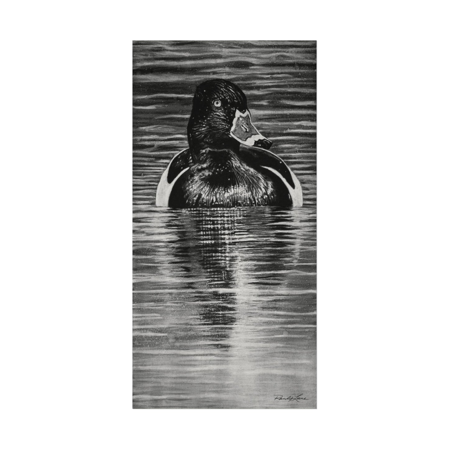 Reflection, Ring necked Duck Painting, Textured Matte Print
