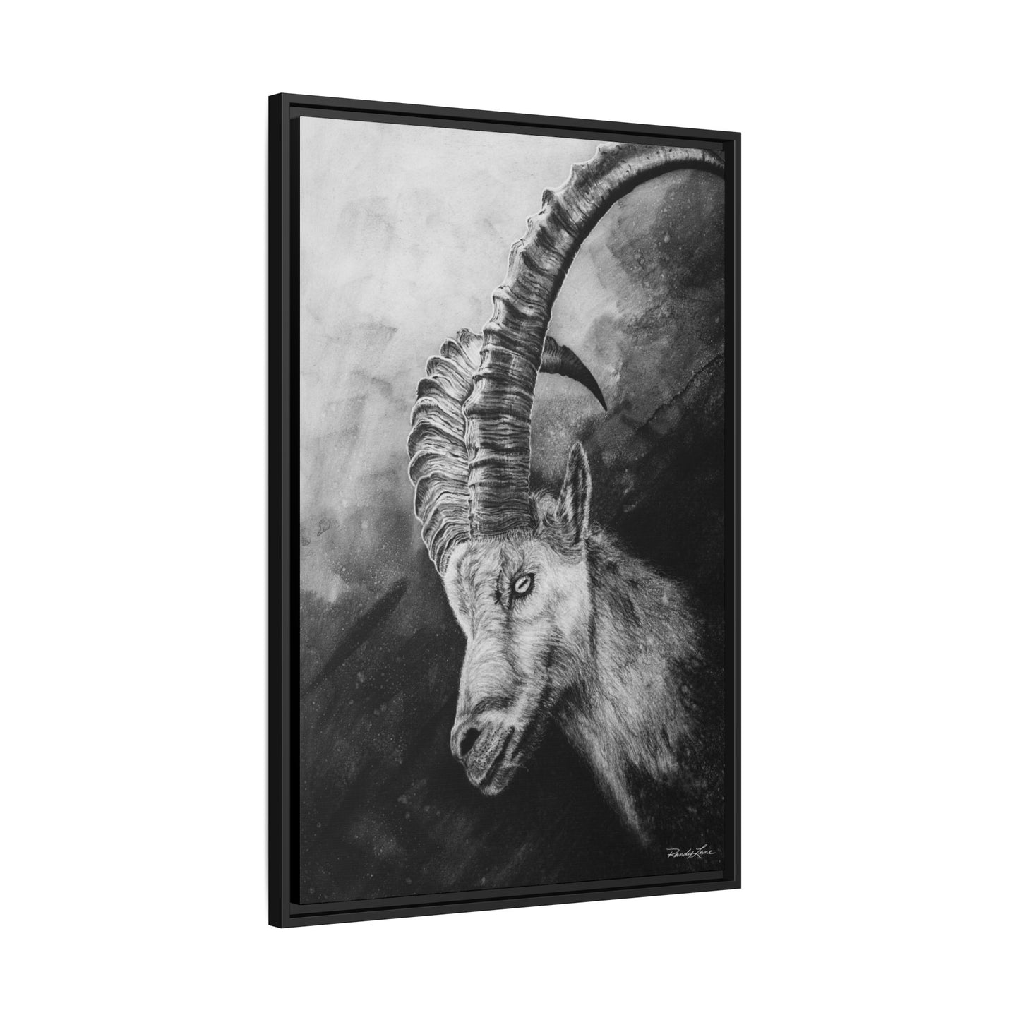 Apex,  Alpine Mountain Goat, Framed Matte Canvas Art Print,
