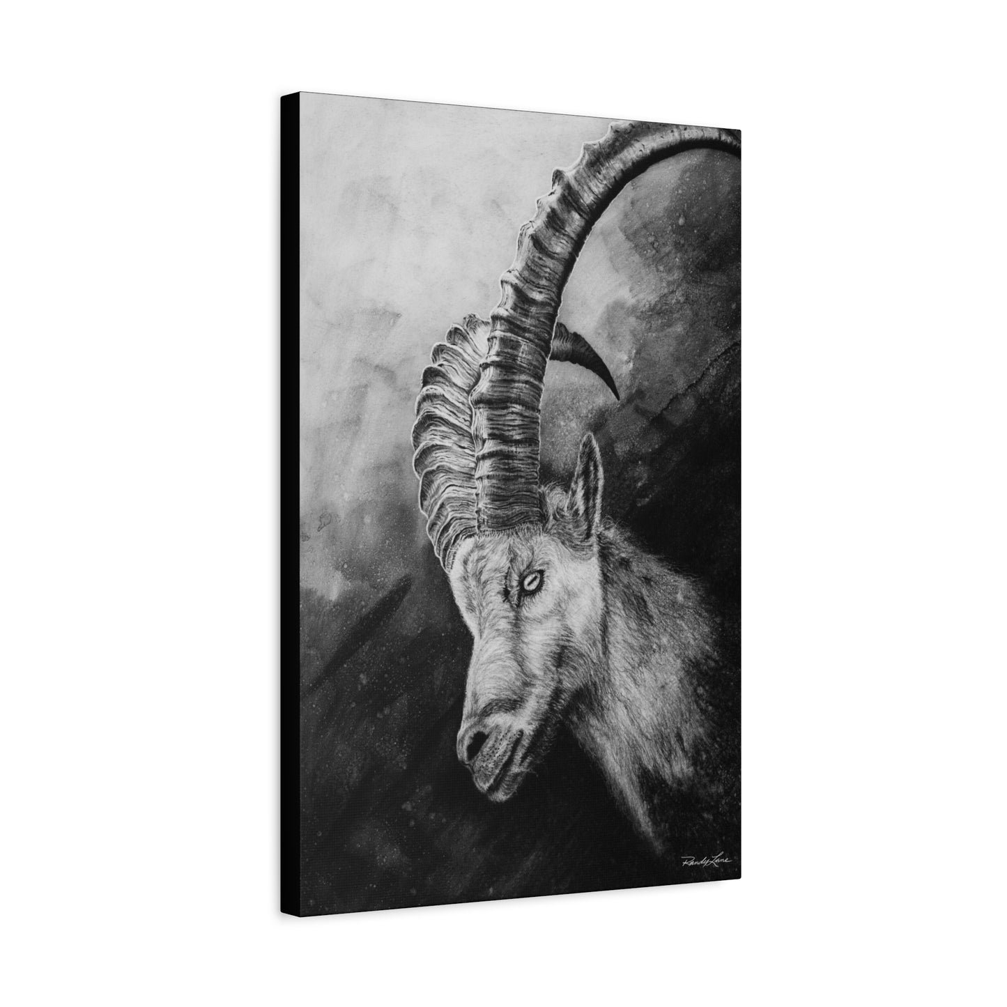 Apex, Alpine Mountain Goat Canvas Art, Stretched Wall Decor