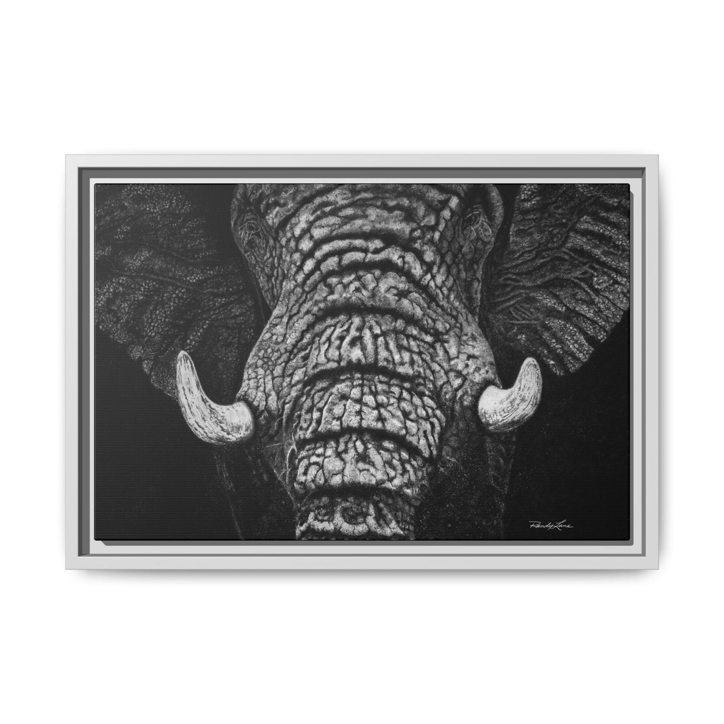 Ebony and Ivory, Elephant Portrait Framed Canvas Wall Art